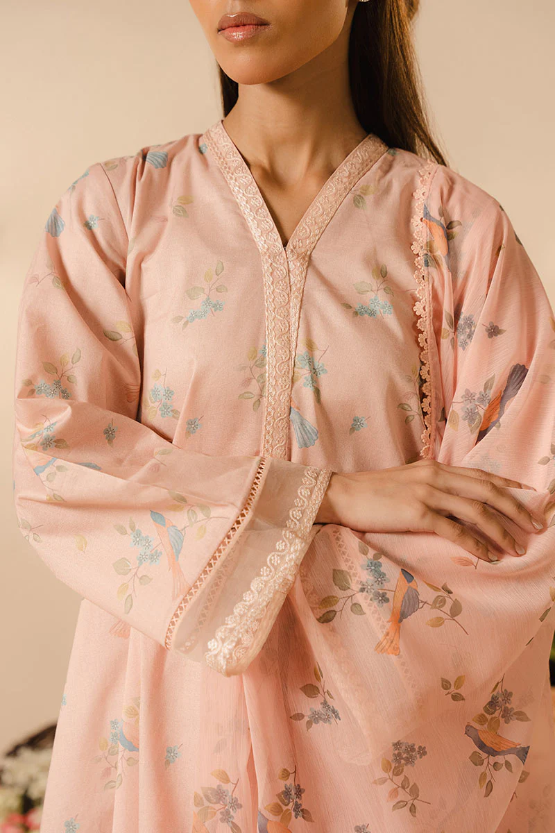 BLUSH DEW-2PC (SHIRT & DUPATTA) - Image 3