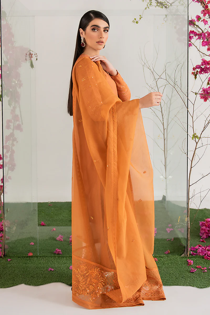 BURNT GLAZE-2PC (SHIRT & DUPATTA) - Image 2