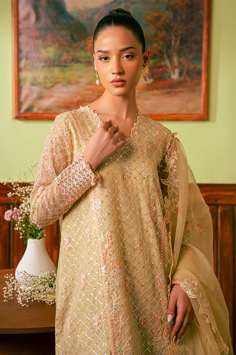 CANARY BUTTER-4 PIECE EMBROIDERED ORGANZA SUIT - Image 4