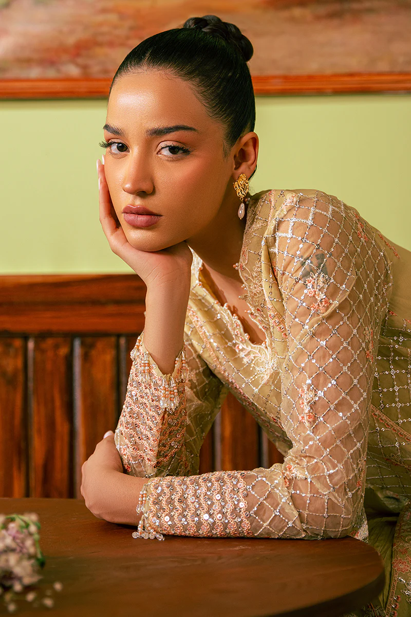 CANARY BUTTER-4 PIECE EMBROIDERED ORGANZA SUIT - Image 5