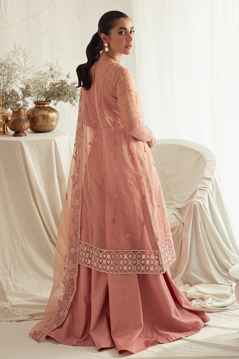 CASHMERE HAZE-4PC: ORGANZA EMBROIDERED SUIT - Image 2