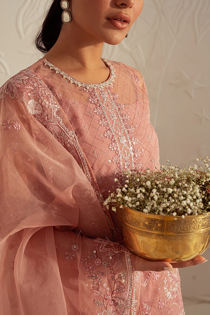 CASHMERE HAZE-4PC: ORGANZA EMBROIDERED SUIT - Image 4