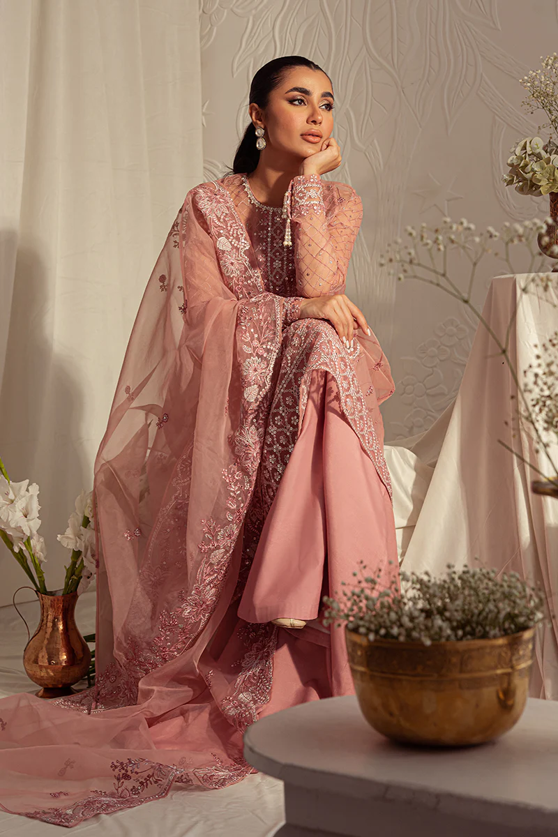 CASHMERE HAZE-4PC: ORGANZA EMBROIDERED SUIT - Image 5