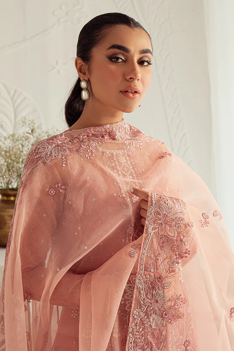 CASHMERE HAZE-4PC: ORGANZA EMBROIDERED SUIT - Image 6