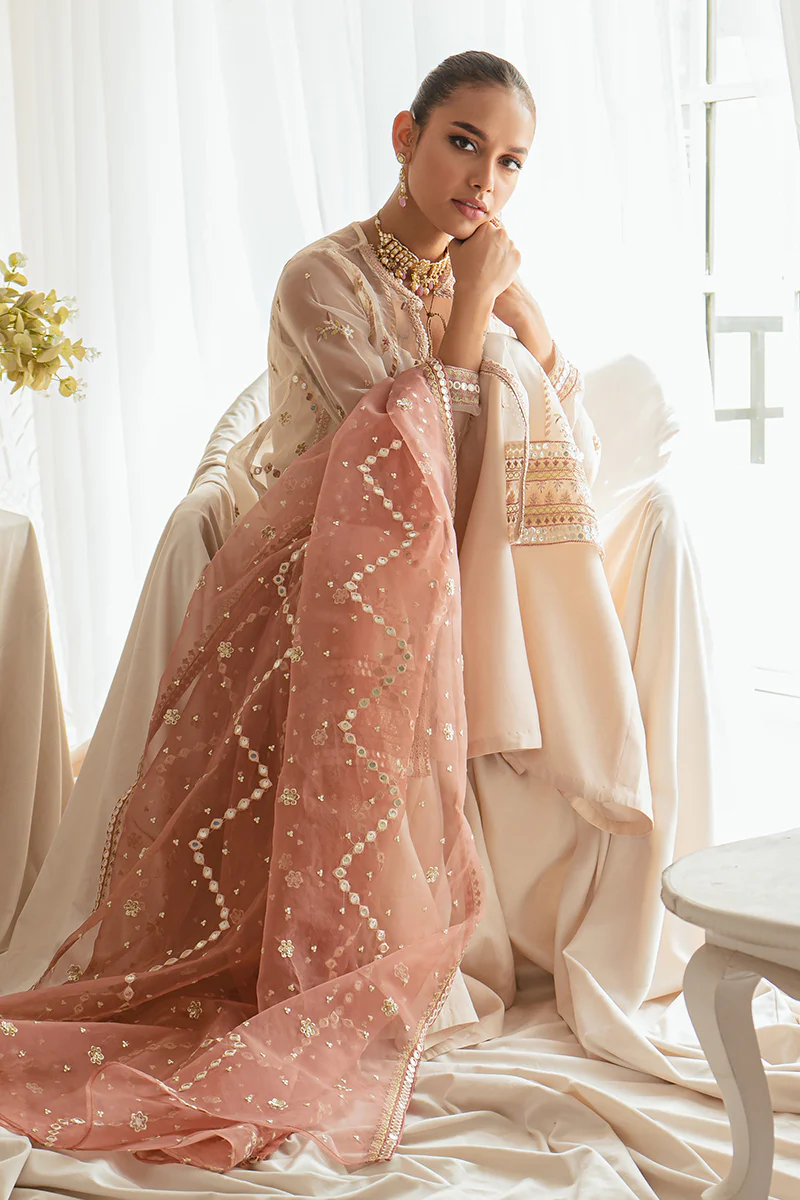 DREAMY TINT-4PC ORGANZA EMBROIDERED SUIT - Image 7