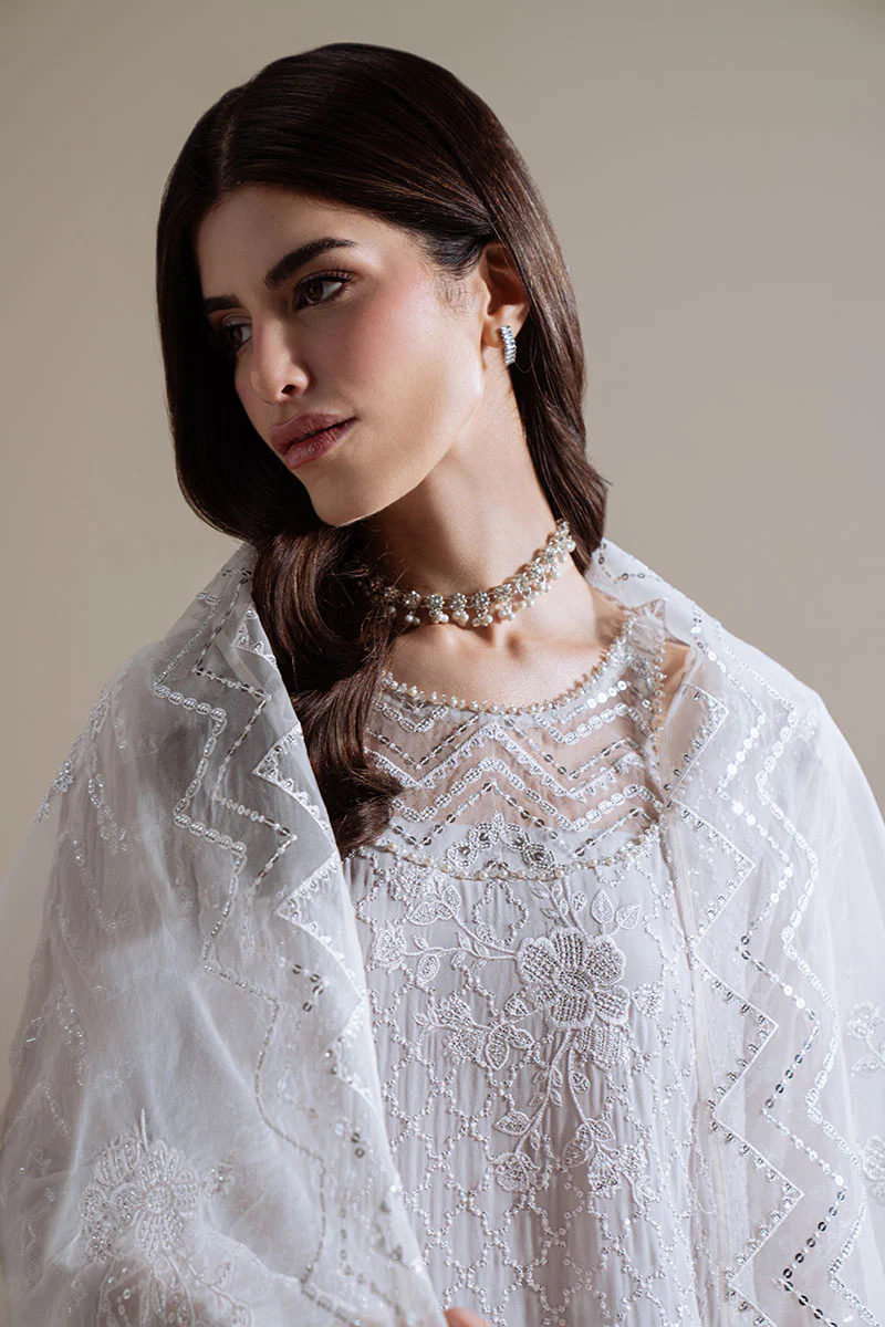 MOONLIT MIST-4PC CHIFFON EMBROIDERED SUIT - Image 5