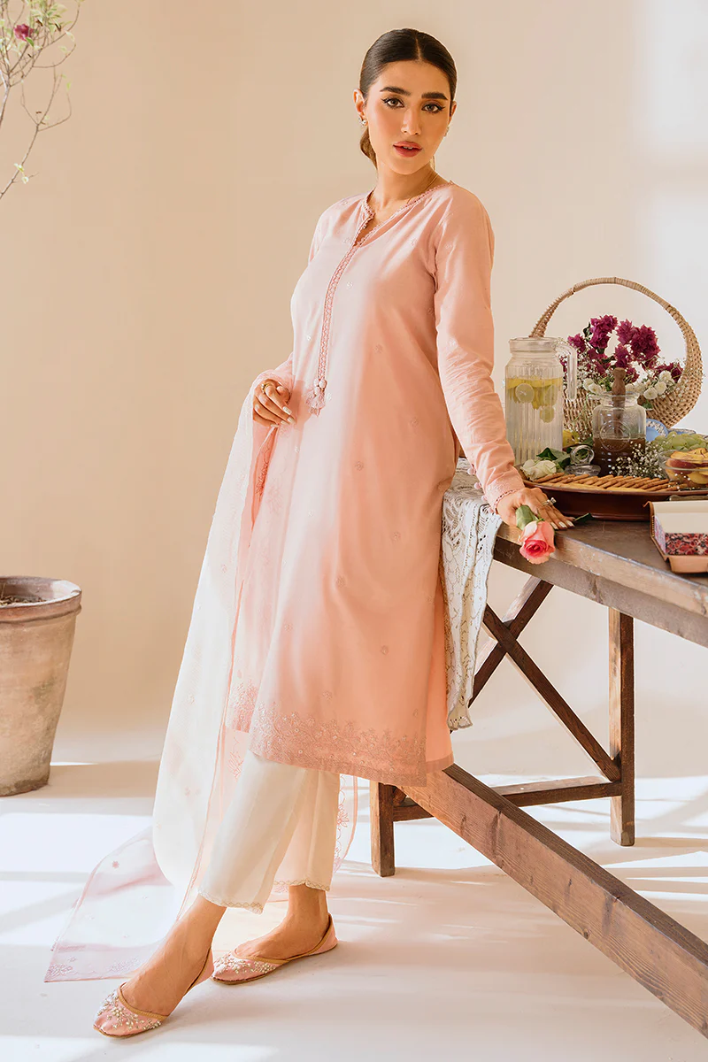 PALE BLUSH-2PC (SHIRT & DUPATTA) - Image 3