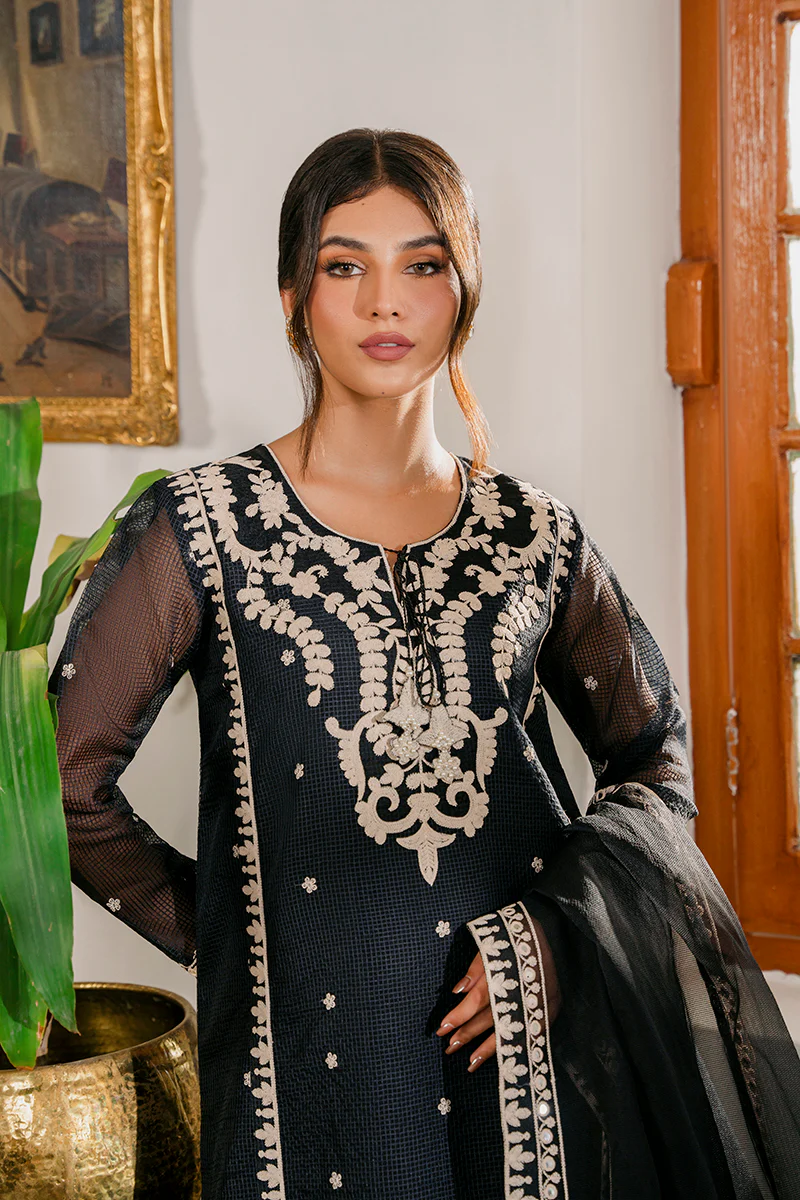 PARSIAN NIGHT-2PC (SHIRT & DUPATTA) - Image 6