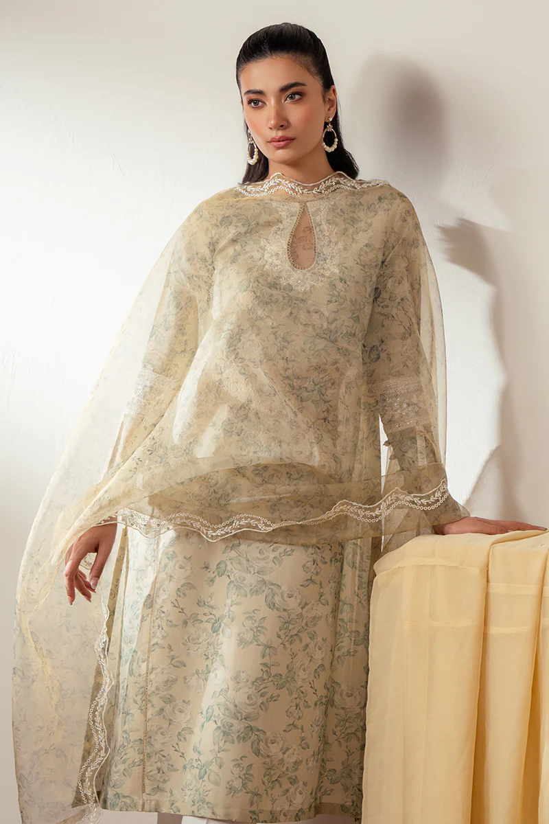PASTEL GLAZE-2PC (SHIRT & DUPATTA) - Image 5