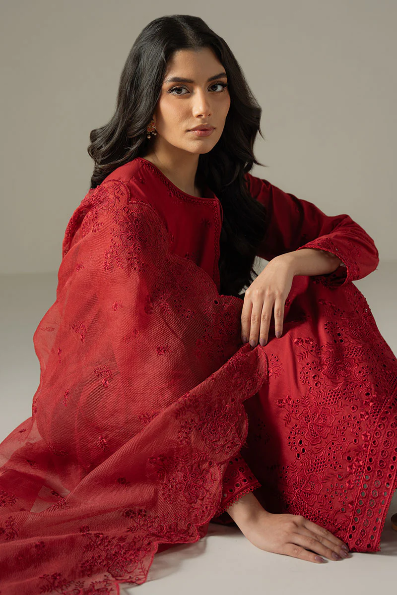 CARMINE GRIS-3PC CHIKANKARI SUIT - Image 3