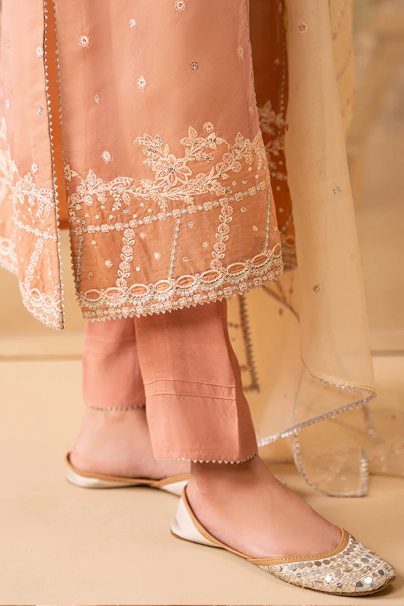 CORAL CASCADE-4 PIECE EMBROIDERED ORGANZA SUIT - Image 3