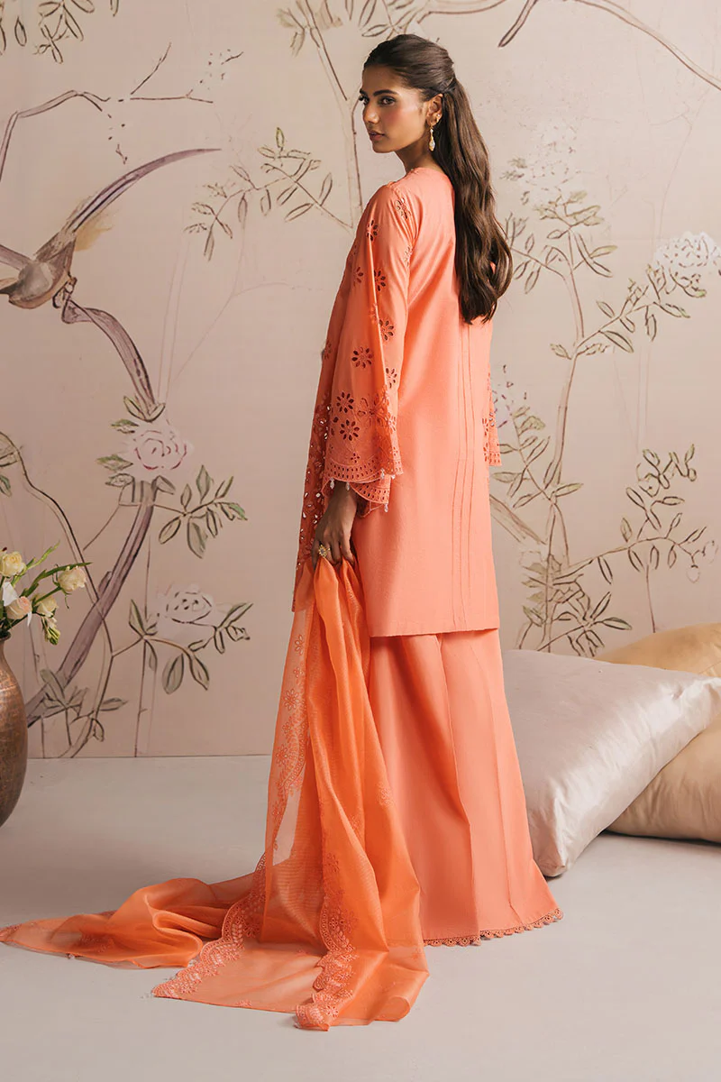 PORCELAIN MELODY-3PC CHIKANKARI SUIT - Image 5