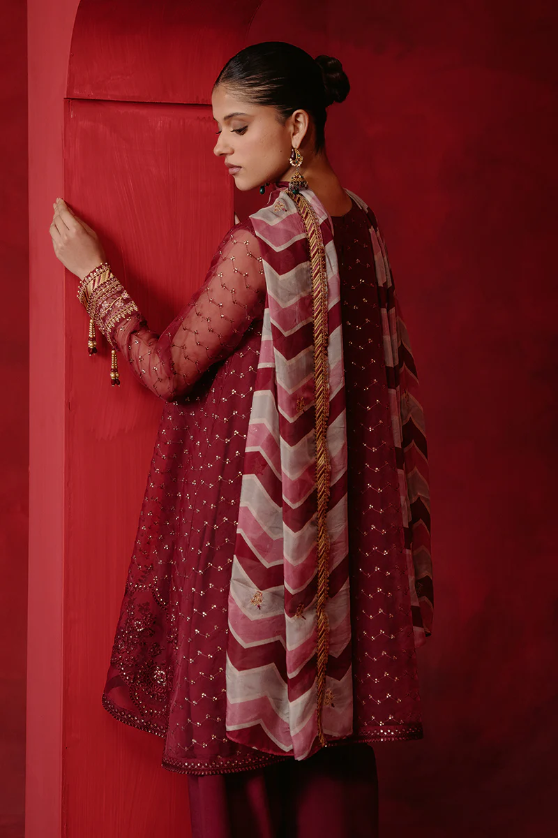 RED OCHRE-4 PIECE ORGANZA EMBROIDERED SUIT - Image 7