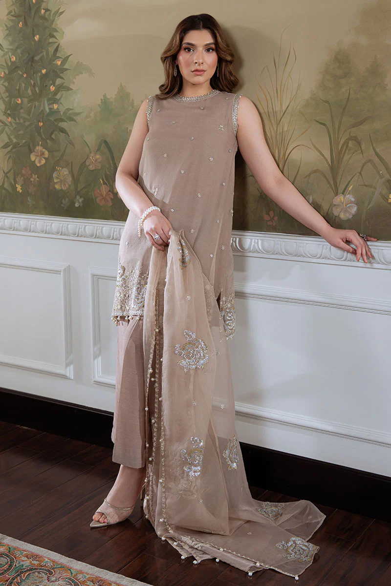 SILVER MINK-4PC ORGANZA EMBROIDERED SUIT - Image 5