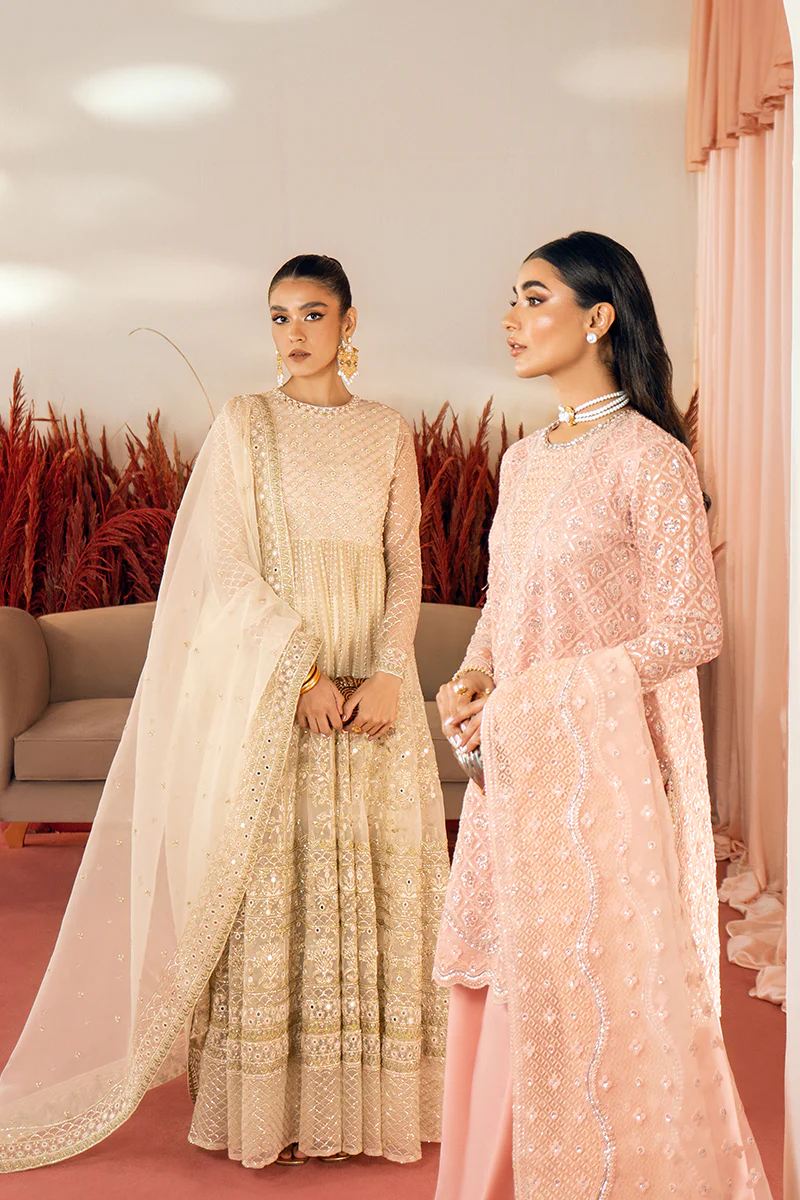 AFSHAN-2PC ORGANZA EMBROIDERED PRET - Image 6