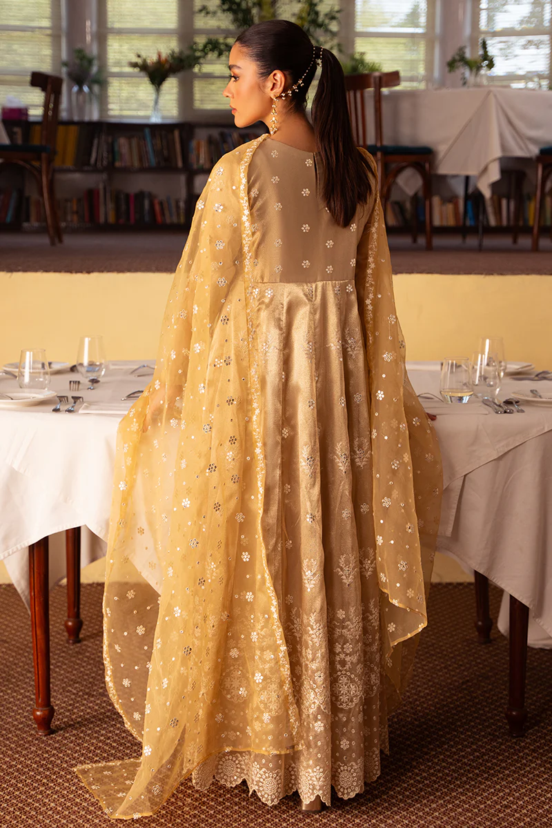 AMBER AURA-2 PC (SHIRT & DUPATTA) - Image 6