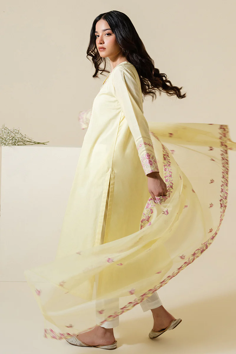 LIME GAROENIA-2 PC (SHIRT & DUPATTA) - Image 8