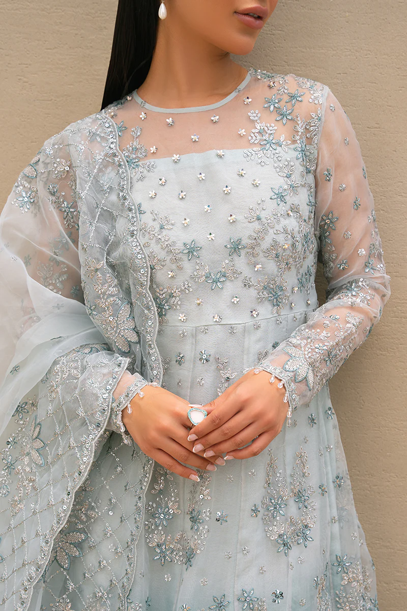 SAFFRON CHARM-2PC ORGANZA EMBROIDERED PRET - Image 4