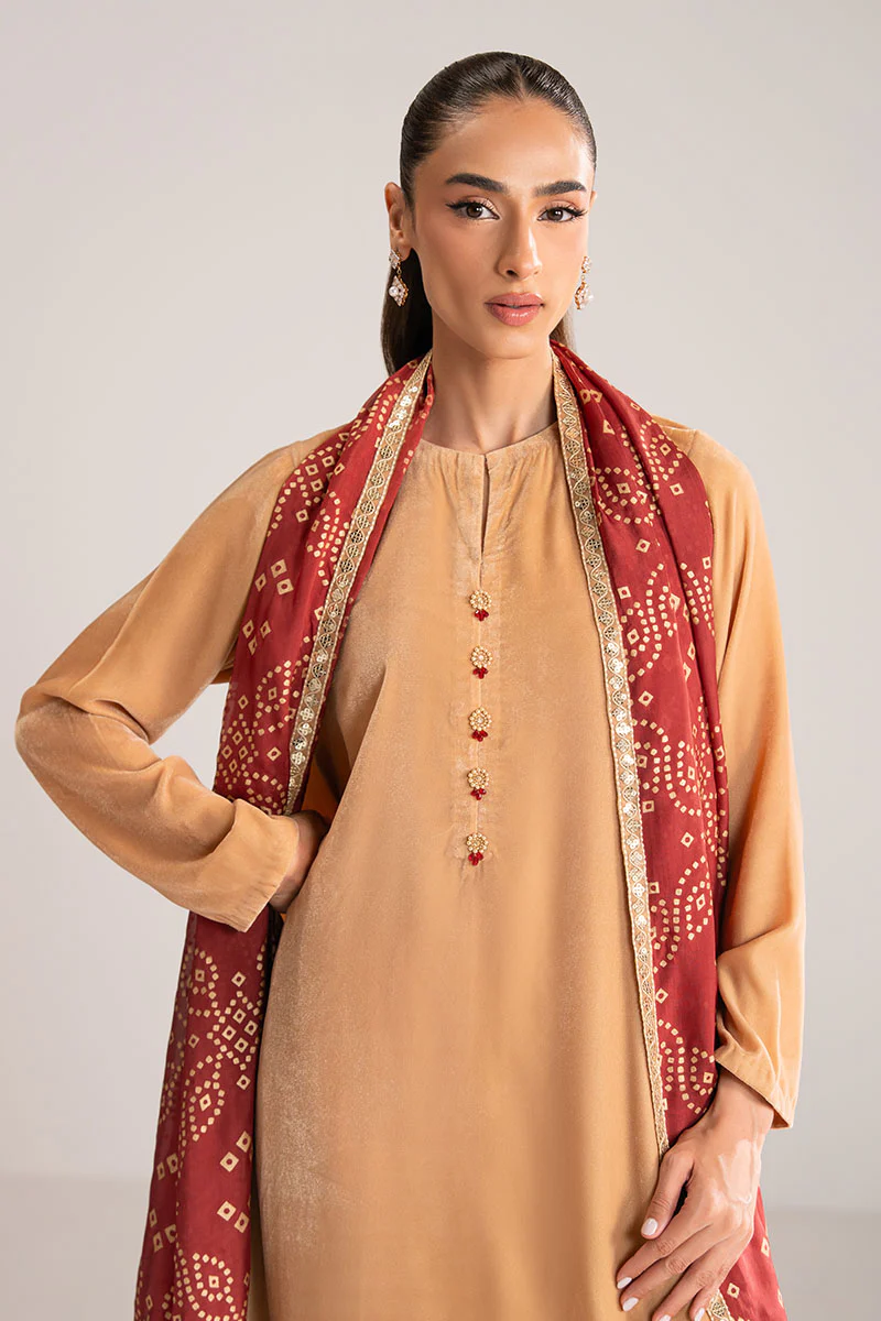SAFFRON DUST-2PC (SHIRT & DUPATTA) - Image 3