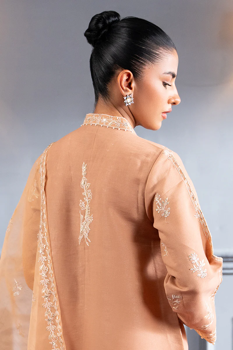 SUBDUED RUST-2 PC (SHIRT & DUPATTA) - Image 2