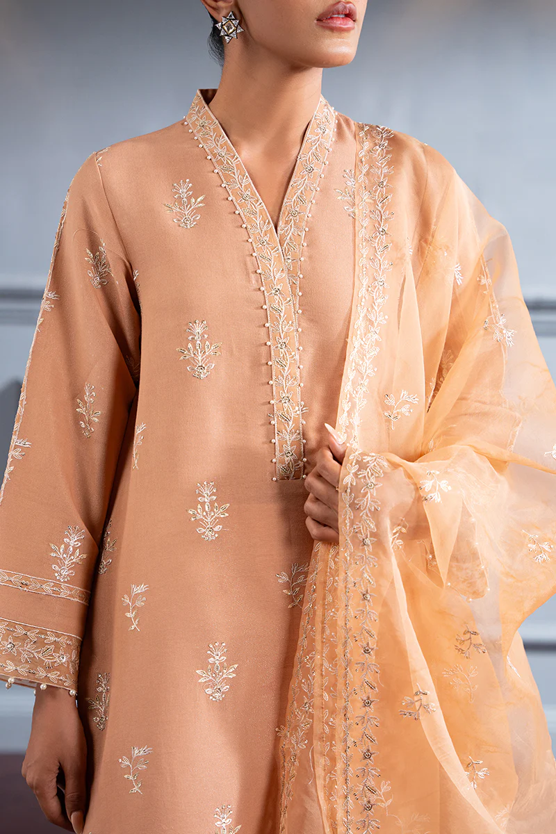 SUBDUED RUST-2 PC (SHIRT & DUPATTA) - Image 3