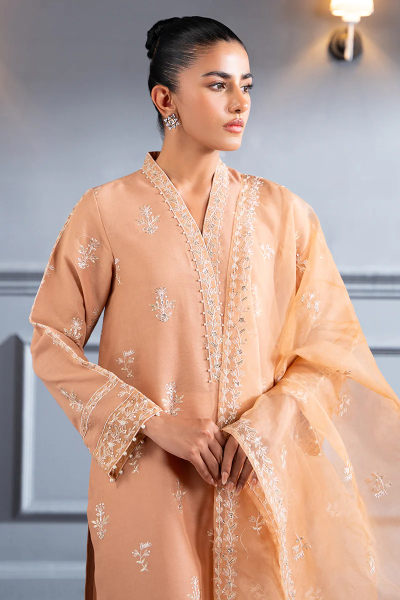 SUBDUED RUST-2 PC (SHIRT & DUPATTA) - Image 4