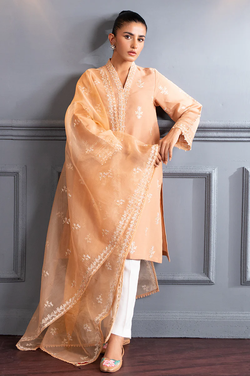 SUBDUED RUST-2 PC (SHIRT & DUPATTA) - Image 5