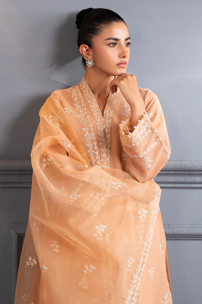SUBDUED RUST-2 PC (SHIRT & DUPATTA) - Image 6