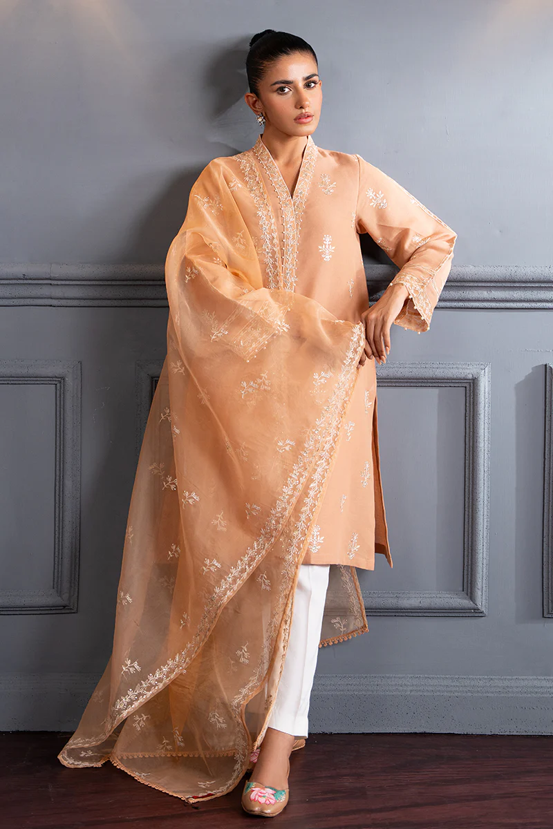 SUBDUED RUST-2 PC (SHIRT & DUPATTA) - Image 7