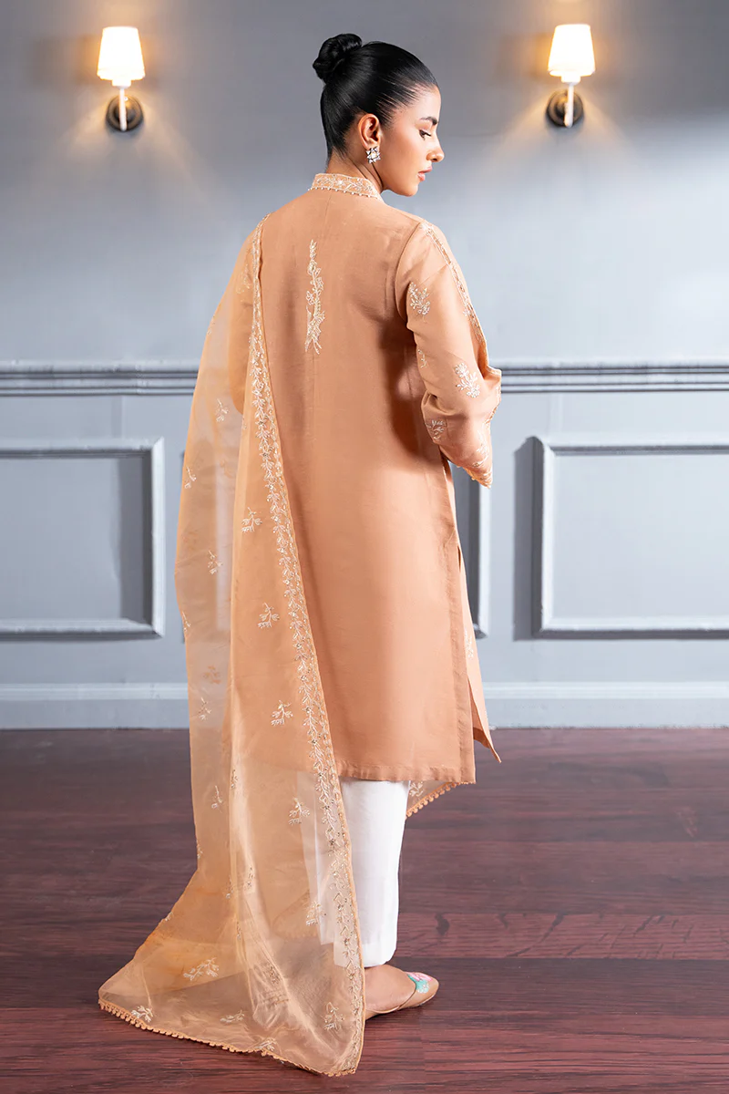 SUBDUED RUST-2 PC (SHIRT & DUPATTA) - Image 9
