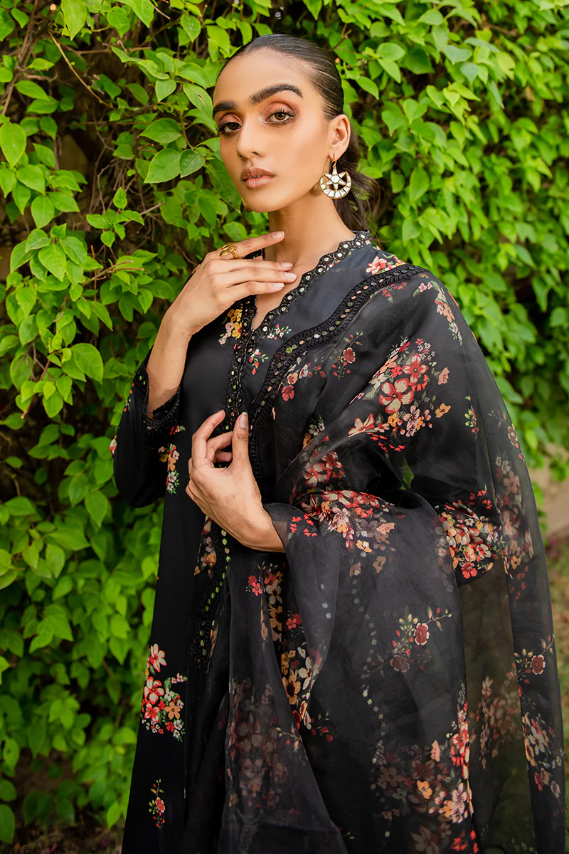 AQS-E-DASHT-2PC (SHIRT & DUPATTA) - Image 4