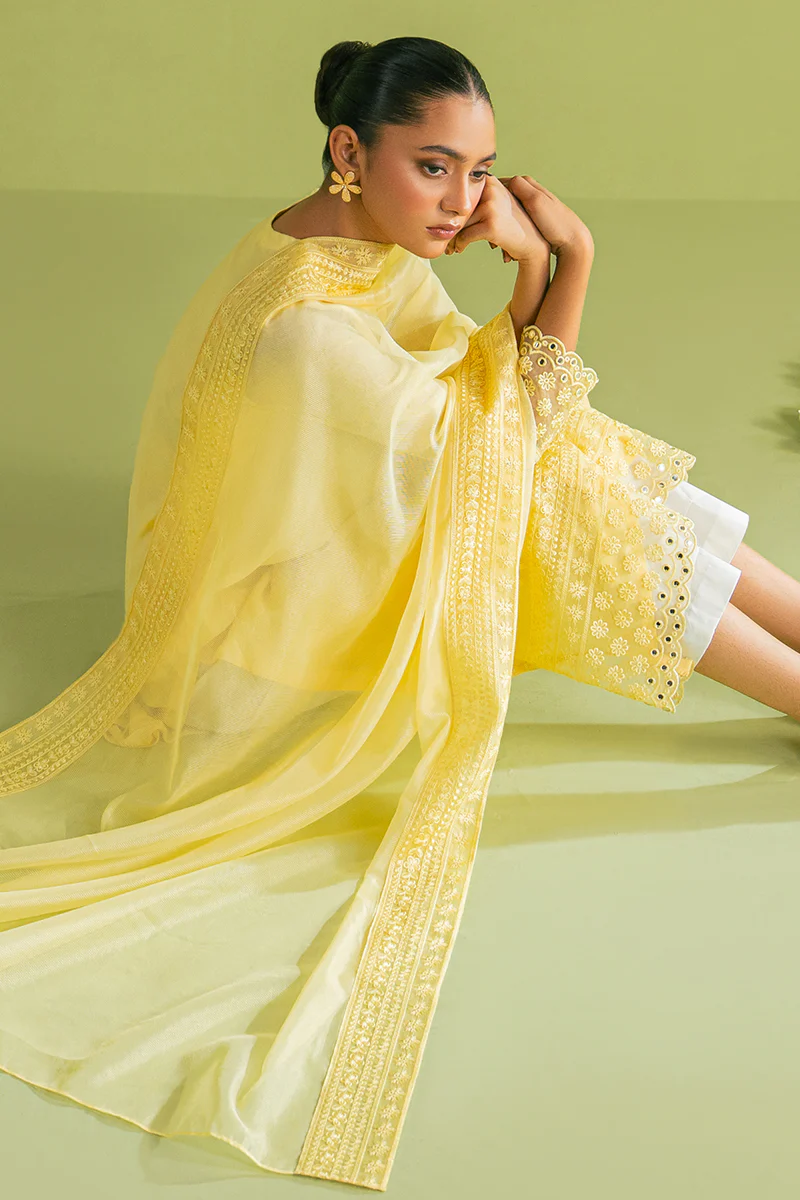 TANGY THREAD-2 PC (SHIRT & DUPATTA) - Image 3