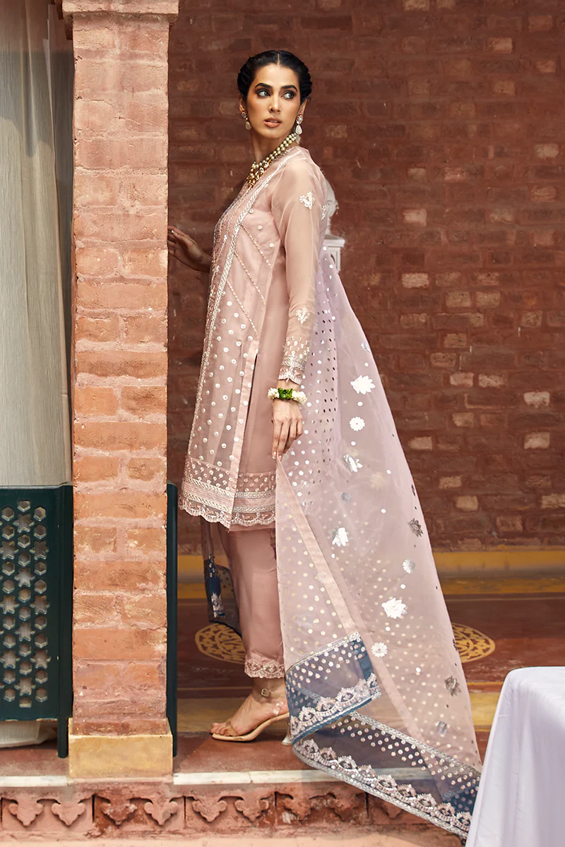 VERSILLIA FLEUR-3 PIECE ORGANZA EMBROIDERED SUIT - Image 5